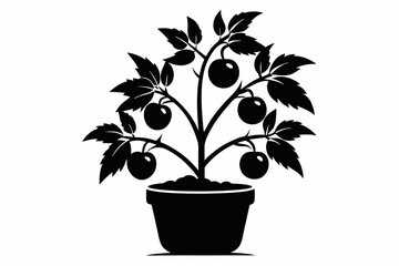 tomato plant silhouette line art vector illustration