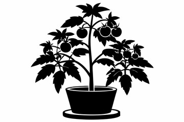 tomato plant silhouette line art vector illustration