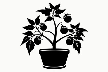 Fototapeta premium tomato plant silhouette line art vector illustration