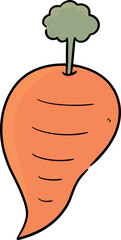 Illustration of carrot
