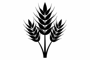 Fototapeta premium wheat plant silhouette line art vector illustration
