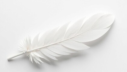 Crisp white feathers against stark white background, airy, macro, close-up