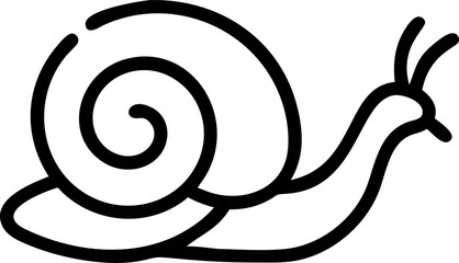 snail on white background