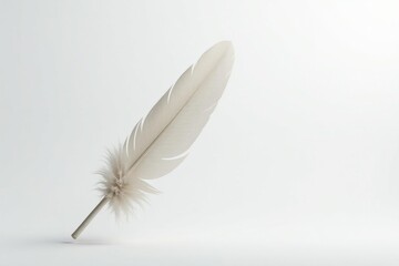 Obraz premium Crisp white feathers against stark white backdrop, nature, minimal