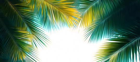 A breathtaking view of palm leaves framing the sky, creating a vibrant canopy that offers a serene escape while showcasing nature's colorful beauty and isolate on transparent background, 