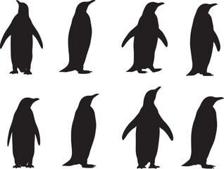 Naklejka premium Black and White Penguin Silhouettes – Minimalist Arctic Wildlife and Scientific Illustration