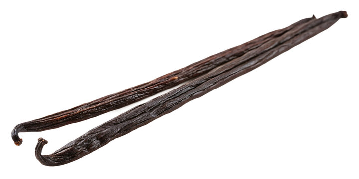 vanilla bean isolated on white background, PNG