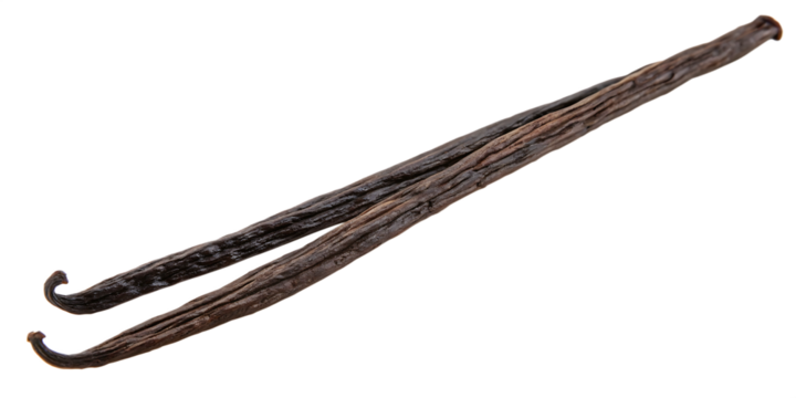 vanilla bean isolated on white background, PNG