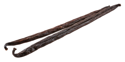 vanilla bean isolated on white background, PNG