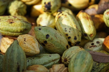 Brown chicken eggs neatly arranged in a paper tray, ready to be used for cooking.