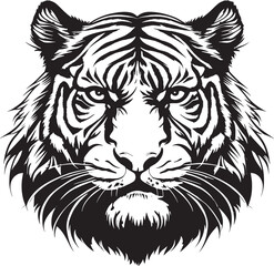 vector illustration of a tiger