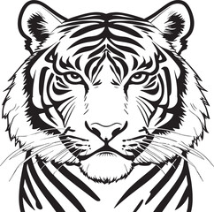 tiger vector illustration