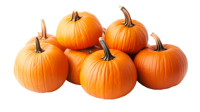 A pile of orange big pumpkins