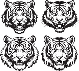 vector illustration of a tiger