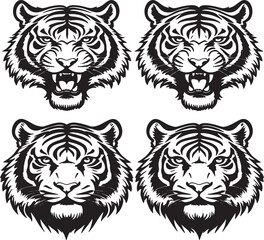vector illustration of a tiger