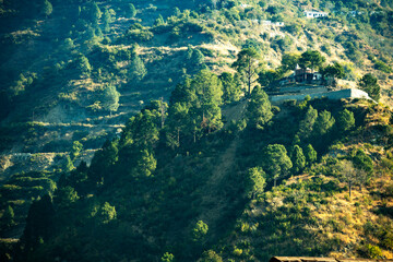 Green-covered mountains feature a home on the ridge and slope. Morning sunlight falls on the trees, creating a warm and inviting atmosphere in the landscape.