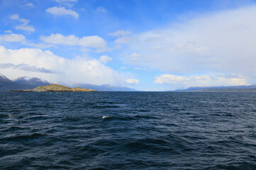 Canal Beagle. Isla de los Pajaros. Terre de Feu. Patagonie.  Argentine. 