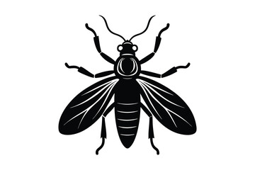 Insect silhouette vector illustration on white background 