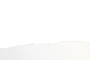 tear paper texture edge png isolated