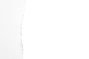Obraz premium tear paper texture edge png isolated