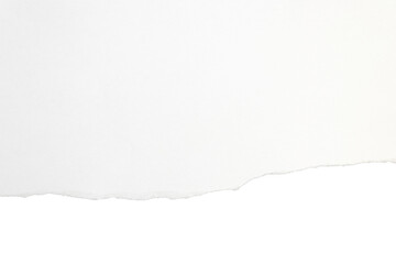 tear paper texture edge png isolated