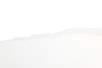 tear paper texture edge png isolated