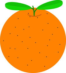 Vector illustration of an orange fruit.