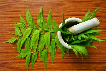 Green neem leaves with mortar and pestle on a table, health care concept 