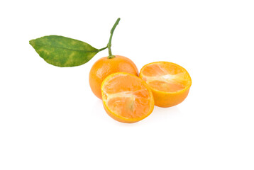 kumquat orange that placed on white background.