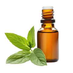 Aromatic Mint Essential Oil Bottle with Fresh Green Leaves in Studio Shot