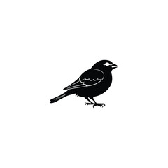 Silhouette bird logo design. A clean, minimalistic black bird perched, ideal for classic branding, nature-inspired products, birdwatching clubs, clothing brands, personal logos, or wildlife-related bu