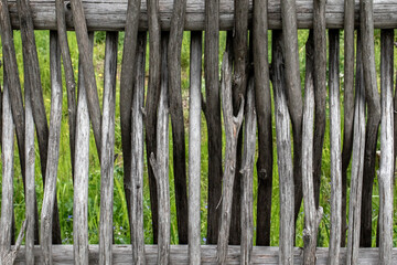 Thin trunks are intertwined in a picket fence. Fragment of a lattice fence. Technology of making a wicker fence with a close-up.