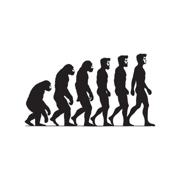evolution of man
