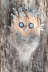 curiosity, bearded woodhead