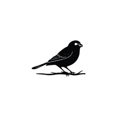 Silhouette bird logo design. A clean, minimalistic black bird perched, ideal for classic branding, nature-inspired products, birdwatching clubs, clothing brands, personal logos, or wildlife-related bu