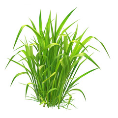 Fototapeta premium Vibrant Clusters of Green Grass Captivating Natural Aesthetics