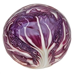 Fototapeta premium Vibrant Red Cabbage Vegetable Studio Photo