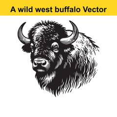 a wild west buffalo