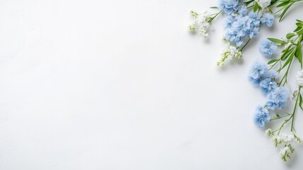 Delicate blue and white flowers arranged on a clean white background, minimalist floral composition, and fresh and elegant design concept.