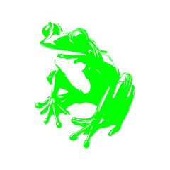 green frog icon