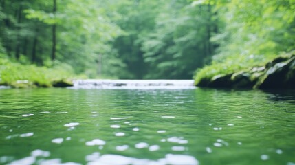 Fototapeta premium Tranquil forest stream. Lush green forest surrounds a shallow, clear stream flowing gently over rocks