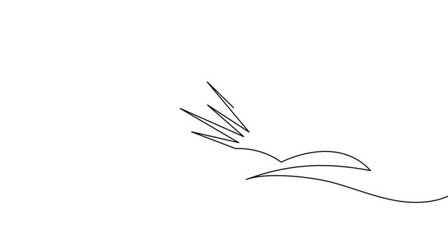 Sun continuous one line drawing animation video