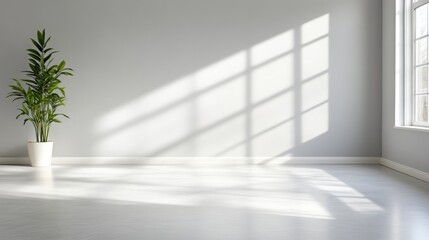 Obraz premium Empty modern room bathed in sunlight