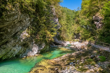 Beautiful landscape of Soteska Vintgar in the Julian Alps, Slovenia.