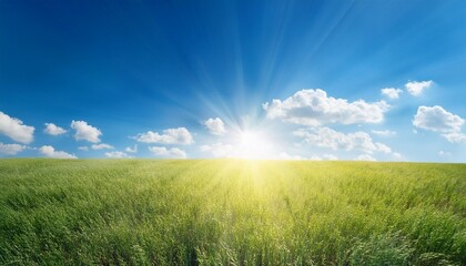 Obraz premium Shinning sun and blue clear sky