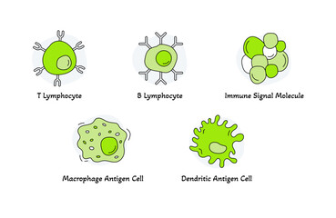 Immune System Cell Icons for Biology Education – T Cell, B Cell, Antigen Presenting Cells, and Cytokines