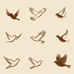 Fototapeta premium Elegant illustrations of different birds in various flight positions