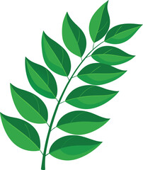 Green leaves curry isolated on white background