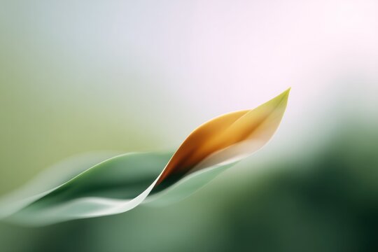 serene abstract composition features flowing organic shapes resembling elements of nature immersed in soft earth tones