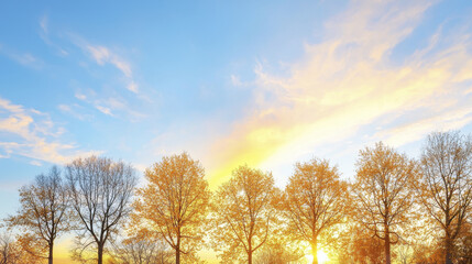 Obraz premium Golden sunset illuminates trees against vibrant sky, creating serene and peaceful atmosphere